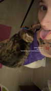 strawberryshans Altpins Profile Picture