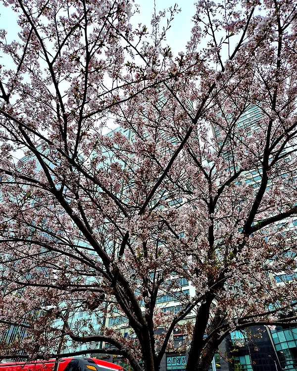bora__look instagram image archive image