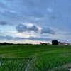 kafelnikova_a Altpins Profile Picture