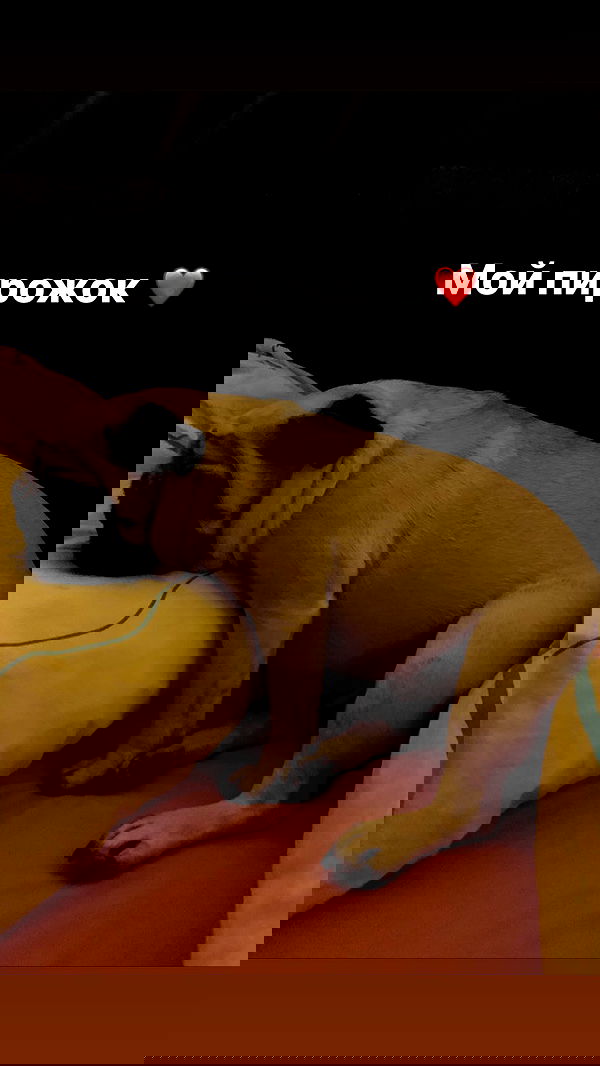 nyityam nyityam archive image