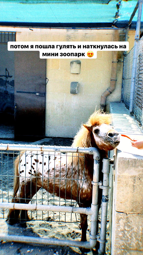 pokrov90 instagram image archive image