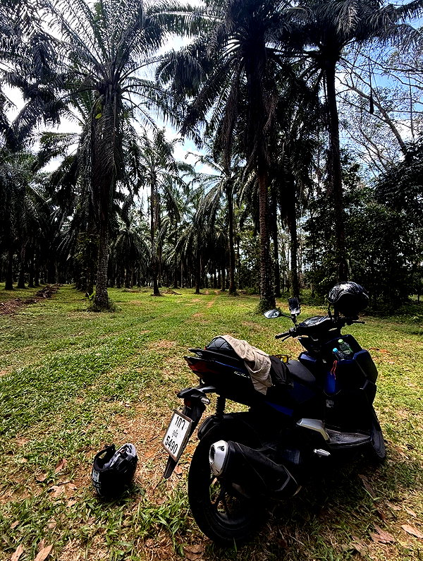 tamagotkri instagram image archive image