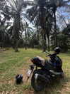 tamagotkri Altpins Profile Picture