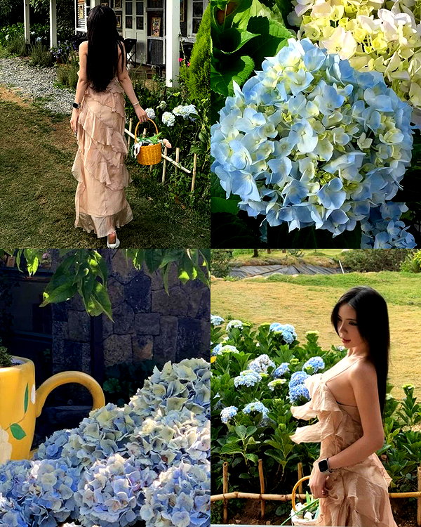 lyhythuedoxinh instagram image archive image