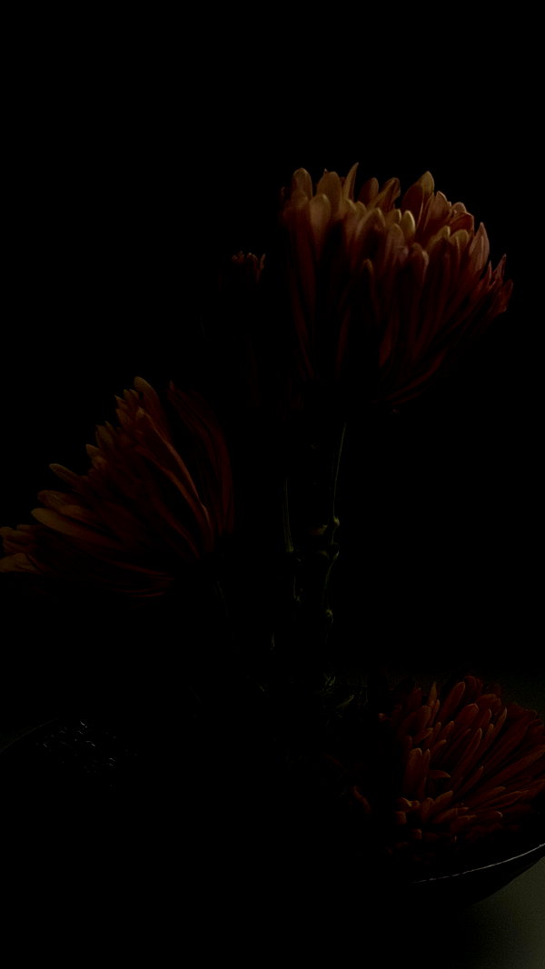finalkillcam00 archive image