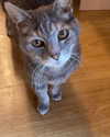 jahia_brown Altpins Profile Picture