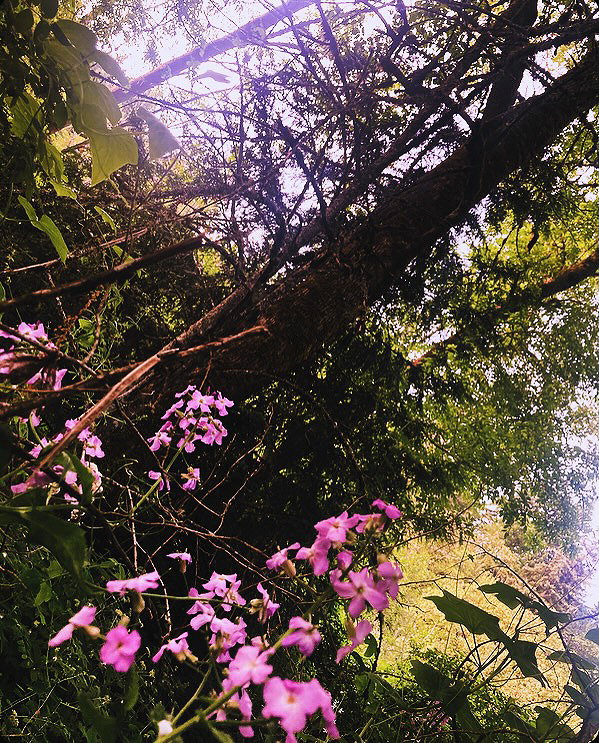 caterpiekae instagram image archive image