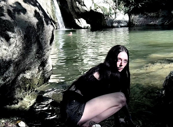 amanitalis instagram image archive image