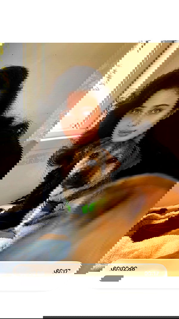 liashaked liashaked archive image