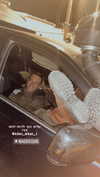 tirtza_cohen Altpins Profile Picture