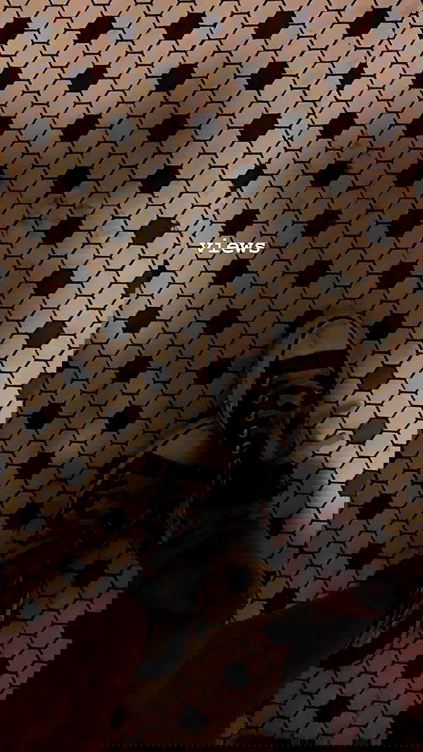 suikomuu suikomuu archive image