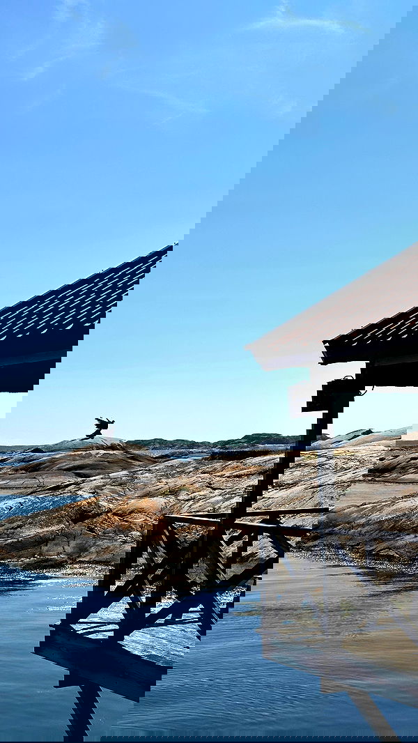 taylor.creeden taylor.creeden archive image