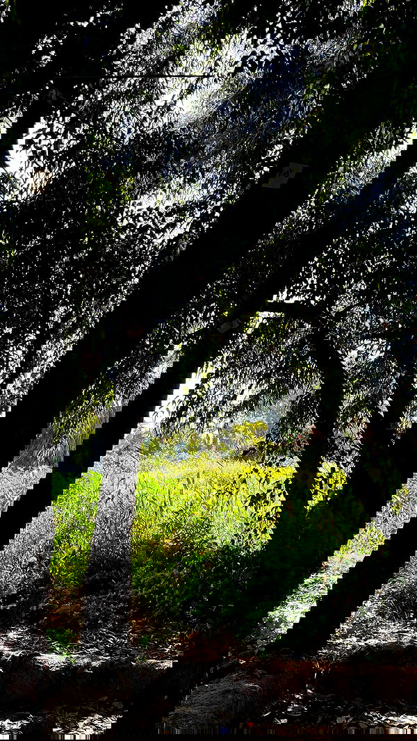 electrixjuggle electrixjuggle archive image