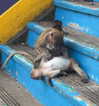 auddk_77 Altpins Profile Picture