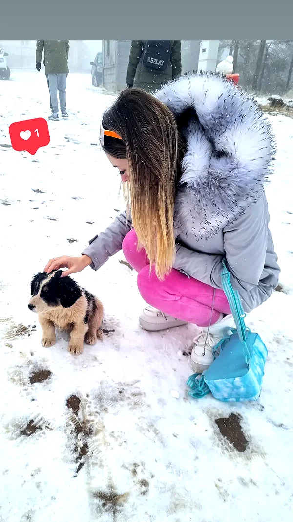 marijana_t__ instagram image archive image