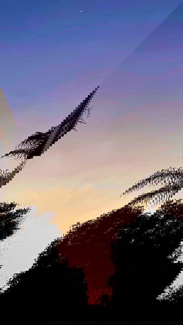 taylor.creeden taylor.creeden archive image