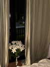miikheeva_stasiiya Altpins Profile Picture