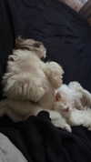 raay.seen Altpins Profile Picture