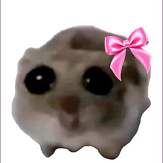war_hamster6 instagram image archive image