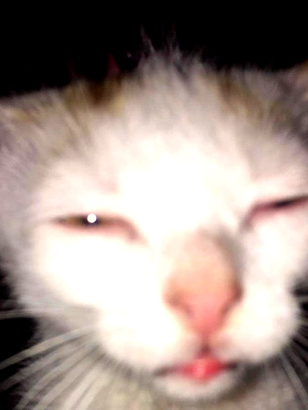 nyxaainaaa_ instagram image archive image