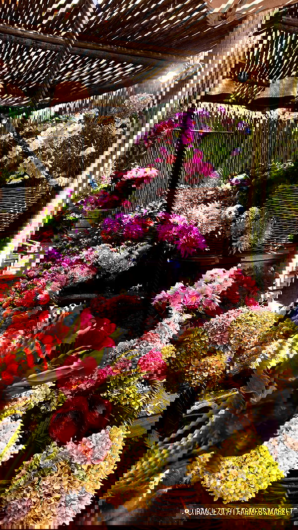 taylor.creeden taylor.creeden archive image