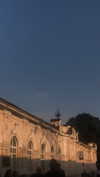 alisen.mari Altpins Profile Picture