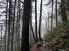 cialikechia Altpins Profile Picture