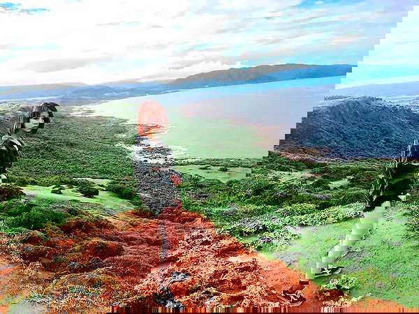 ting851204 ting851204 archive image