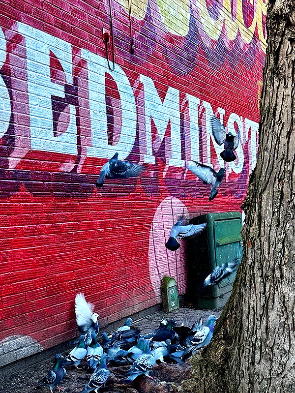 mollieruck instagram image archive image