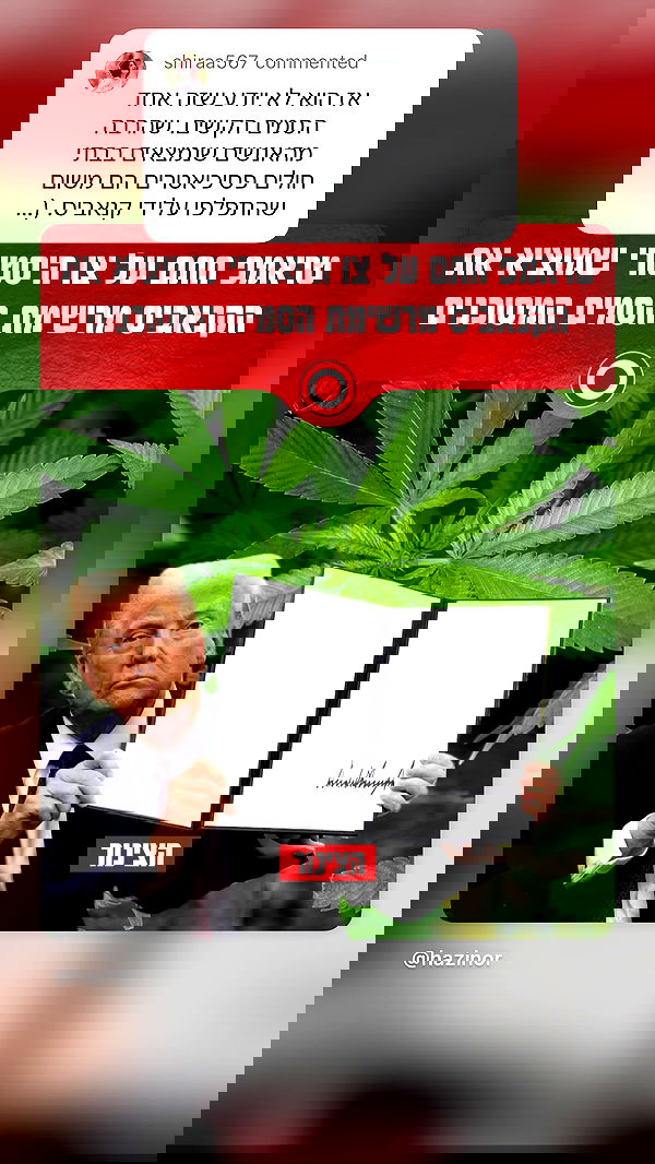 shelly_.mor image ~ Altpins