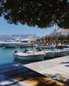 milena_milachich Altpins Profile Picture