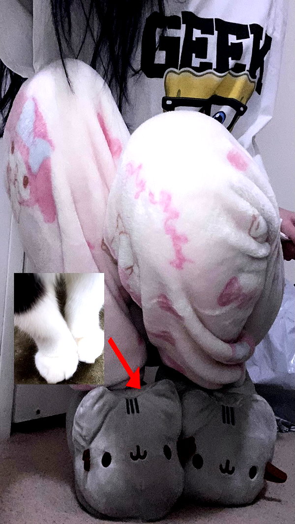 meowwmaxxer archive image