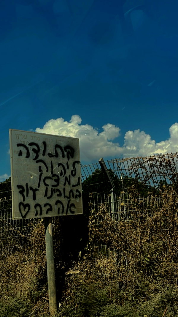 rei.sigalov instagram image archive image