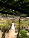 gisellelee8 Altpins Profile Picture