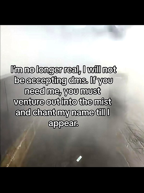 leanbeefpatty instagram image archive image