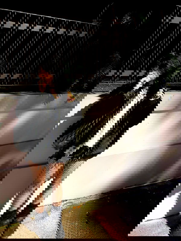 mosssaico mosssaico archive image