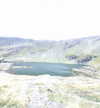 s111y_ccc0nt3 Altpins Profile Picture
