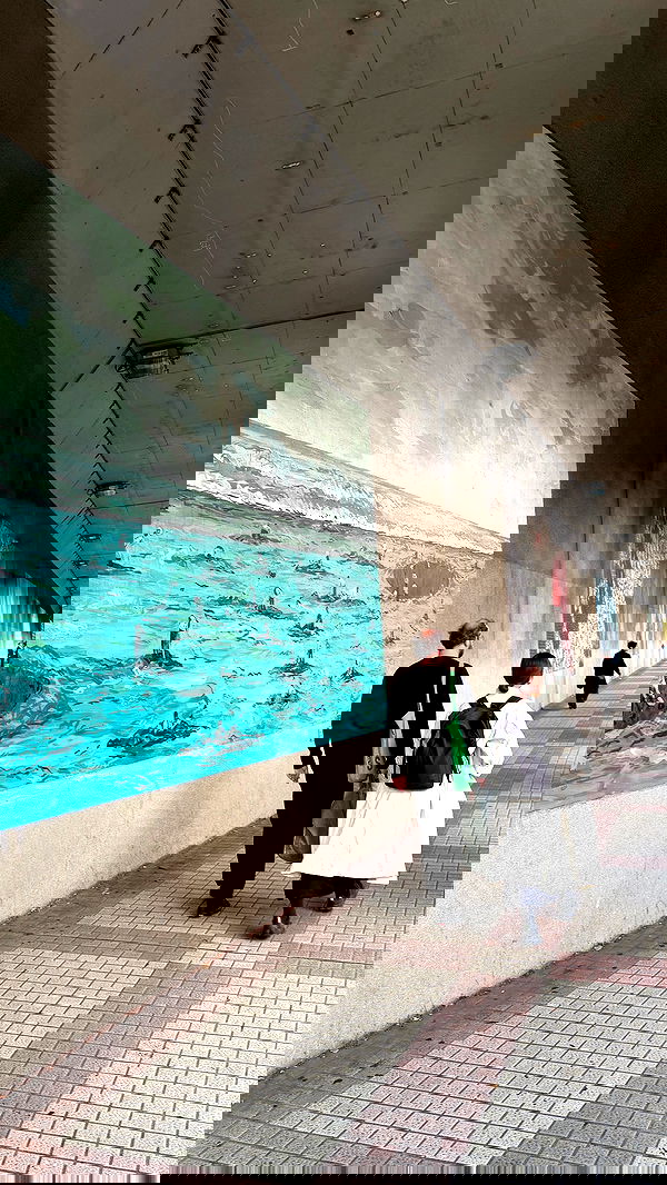 taylor.creeden taylor.creeden archive image