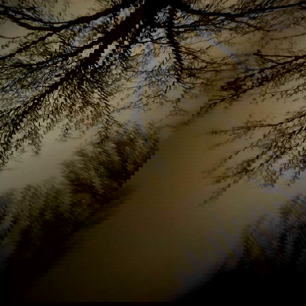 aekamee aekamee archive image