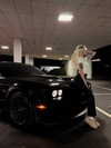 b6ylexx Altpins Profile Picture