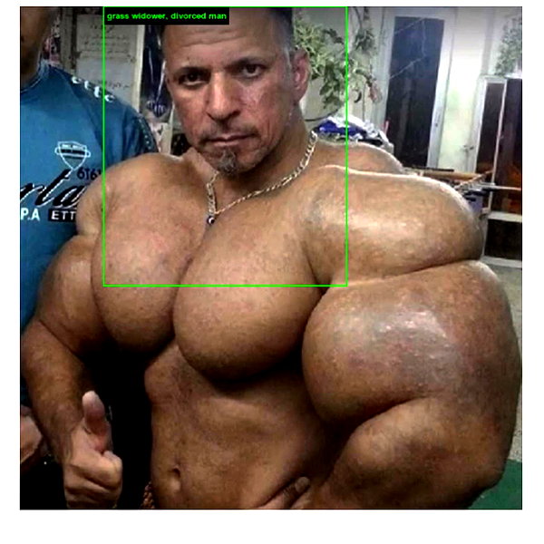 wormsheriff instagram image archive image