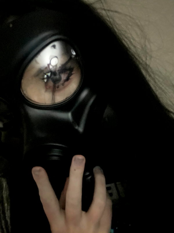 Archived image from @meowwmaxxer on Instagram