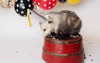 milkiwifey Altpins Profile Picture