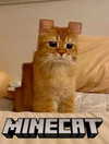 ellaexplicit_ Altpins Profile Picture