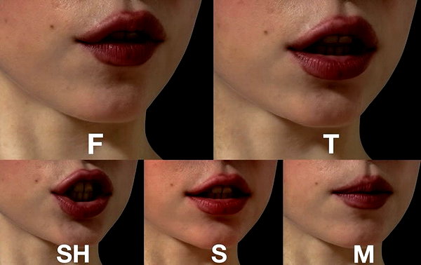 ftshsmftshsmftshsm ftshsmftshsmftshsm archive image