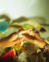 curlyfriesjazz Altpins Profile Picture