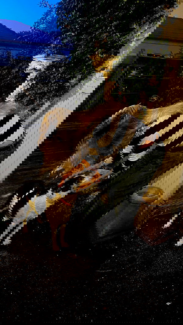 kitty.elliss kitty.elliss archive image