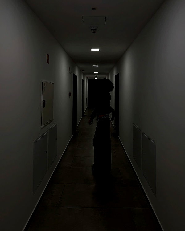 borkwsmh instagram image archive image