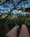 rouxroux.tv Altpins Profile Picture