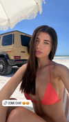paigeinsco Altpins Profile Picture